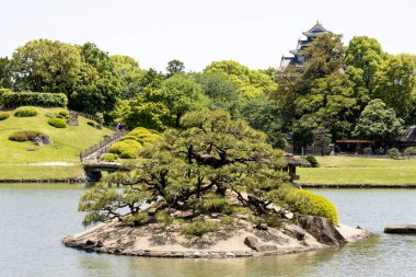 Okayama, Japonya- 10 Mayıs 2024: Korakuen, Japon bahçesi Okayama 'da. Japonya 'nın üç büyük bahçesinden biridir.