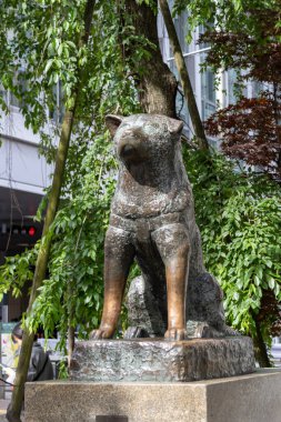 Tokyo, Japonya - 12 Mayıs 2024: Shibuya, Tokyo 'daki Hachiko Heykeli. Japonya 'nın en sadık köpeğini onurlandırmak için.