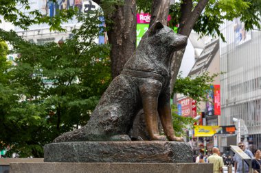 Tokyo, Japonya - 12 Mayıs 2024: Shibuya, Tokyo 'daki Hachiko Heykeli. Japonya 'nın en sadık köpeğini onurlandırmak için.