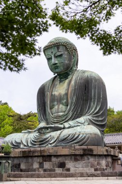 Kamakura, Japonya- 14 Mayıs 2024: Kamakura, Japonya 'daki Kamakura tapınağındaki Kamakura Daibutsu heykeli