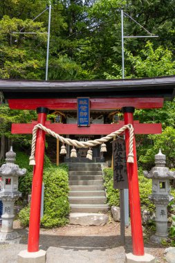 Shimoyoshida, Japonya- 15 Mayıs 2024: Shimoyoshida, Japonya 'daki Fuji Sengen Jinja Tapınağı' ndaki Shiogama Tapınağı 'nın siyah ve kırmızı torii kapısı.