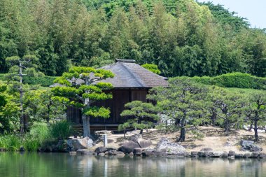 Okayama, Japonya- 10 Mayıs 2024: Korakuen, Japon bahçesi Okayama 'da. Japonya 'nın üç büyük bahçesinden biridir.