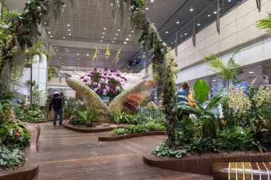 Singapur - 7 Mayıs 2024: Changi uluslararası havaalanı terminalinin içindeki çiçek bahçesi, Singapur.