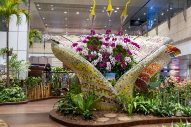 Singapur - 7 Mayıs 2024: Changi uluslararası havaalanı terminalinin içindeki çiçek bahçesi, Singapur.