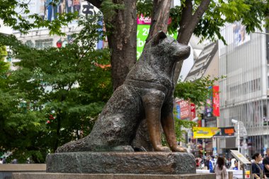 Tokyo, Japonya - 12 Mayıs 2024: Shibuya, Tokyo 'daki Hachiko Heykeli. Japonya 'nın en sadık köpeğini onurlandırmak için.