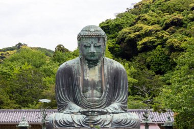 Kamakura, Japonya- 14 Mayıs 2024: Kamakura, Japonya 'daki Kamakura tapınağındaki Kamakura Daibutsu heykeli