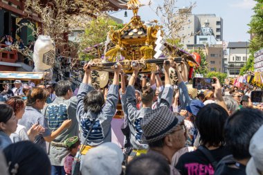 Tokyo, Japonya - 18 Mayıs 2024: Asakusa 'daki Sanja Festivali' nde taşınabilir bir türbe (mikoshi) taşıyan insanlar. Tokyo 'nun en popüler festivallerinden biridir..