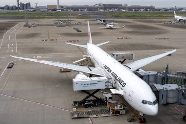 Tokyo, Japonya- 19 Mayıs 2024: JAL Havaalanı, Tokyo. Haneda Havalimanı yerli ve uluslararası yolculara hizmet veren üç terminalden oluşur.