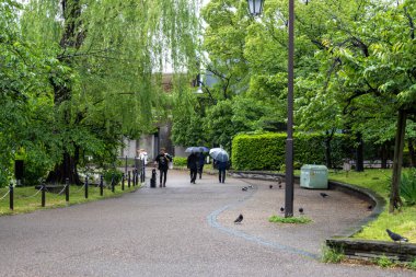 Tokyo, Japonya - 13 Mayıs 2024: Yağmurlu bir günde Tokyo 'daki Ueno Park. Park 1873 yılında Kanei-ji tapınağına ait topraklarda kuruldu.