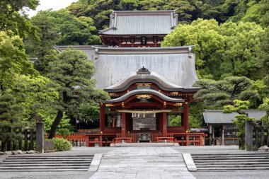 Kamakura, Japonya - 14 Mayıs 2024: Japonya, Kamakura 'daki Tsurugaoka Hachimangu Tapınağı manzarası. Bu güzel tapınak 800 yıldan fazladır var.