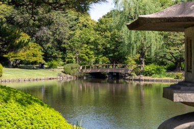 Tokyo, Japonya - 17 Mayıs 2024: Tokyo 'daki Shinjuku Gyoen Ulusal Bahçesi. Kiraz çiçeklerinin tadını çıkarmak için popüler bir park olarak bilinir..