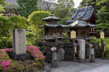 Tokyo, Japonya - 11 Mayıs 2024: Senso-ji, Tokyo 'da ejderha tanrısına tapılan Kuzuryu Gongen. Sensoji Tapınağı 'nın koruyucu tanrısı olarak kabul edilir..