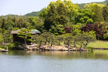 Okayama, Japonya- 10 Mayıs 2024: Korakuen, Japon bahçesi Okayama 'da. Japonya 'nın üç büyük bahçesinden biridir.