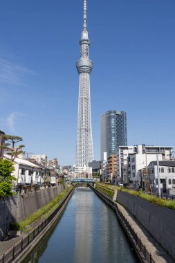 Tokyo, Japonya - 11 Mayıs 2024: Tokyo Skytree, Tokyo, Japonya 'da bir yayın ve gözlem kulesi. 2010 yılında Japonya 'daki en yüksek yapı oldu.