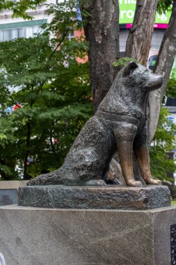 Tokyo, Japonya - 12 Mayıs 2024: Shibuya, Tokyo 'daki Hachiko Heykeli. Japonya 'nın en sadık köpeğini onurlandırmak için.