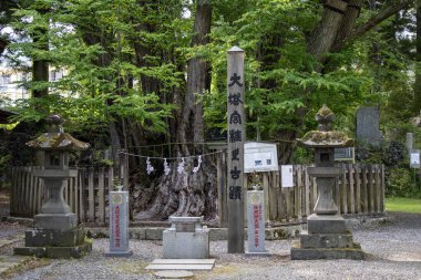 Shimoyoshida, Japonya - 15 Mayıs 2024: Fujisan Simomiya Omuro Sengen Jinja, Shimoyoshida, Japonya. Ana tapınak, 699 yılında inşa edilen Fuji Dağı 'nın en eski tapınağıdır.