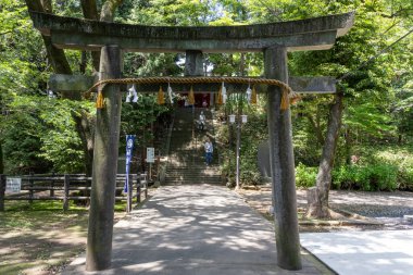 Kawagoe, Japonya - 17 Mayıs 2024: Torii, Kawagoe, Japonya 'daki Senba Toshogu türbesine öncülük etti. Ieyasu Tokugawa 'nın cenaze töreninin yapıldığı yer.