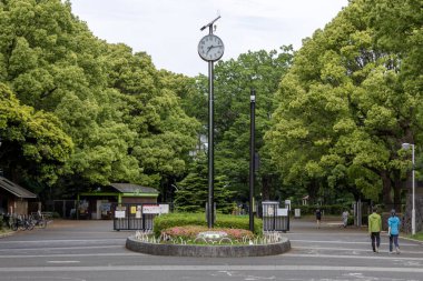 Tokyo, Japonya - 12 Mayıs 2024: Tokyo, Japonya 'daki Yoyogi parkı Tokyo' da, Shinjuku ve Harajuku bölgeleri arasında yeşil bir dönüm noktasıdır.