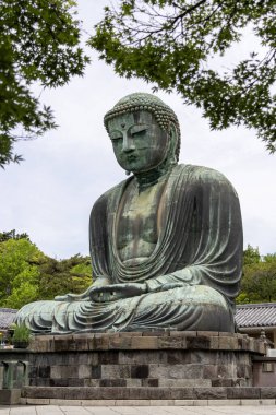 Kamakura, Japonya- 14 Mayıs 2024: Kamakura, Japonya 'daki Kamakura tapınağındaki Kamakura Daibutsu heykeli
