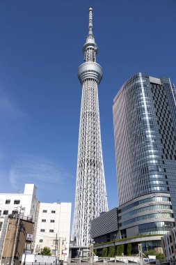 Tokyo, Japonya - 11 Mayıs 2024: Tokyo Skytree, Tokyo, Japonya 'da bir yayın ve gözlem kulesi. 2010 yılında Japonya 'daki en yüksek yapı oldu.