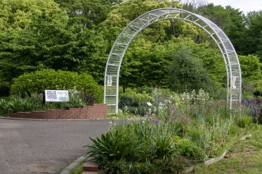 Tokyo, Japonya - 12 Mayıs 2024: Tokyo, Japonya 'daki Yoyogi parkı Tokyo' da, Shinjuku ve Harajuku bölgeleri arasında yeşil bir dönüm noktasıdır.