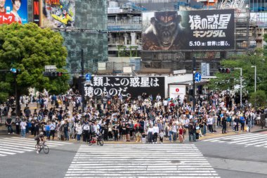 Tokyo, Japonya - 12 Mayıs 2024: İnsanlar Shibuya, Tokyo 'da işlek kavşağı geçiyor. Burası dünyanın en işlek kavşaklarından biri..