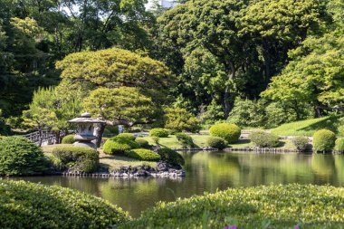 Tokyo, Japonya - 17 Mayıs 2024: Tokyo 'daki Shinjuku Gyoen Ulusal Bahçesi. Kiraz çiçeklerinin tadını çıkarmak için popüler bir park olarak bilinir..