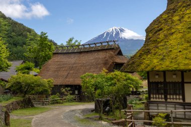 Kawaguchiko, Japonya- 16 Mayıs 2024: Saiko Iyashi no Sato Nenba veya Kawaguchiko, Japonya 'daki Geleneksel Japon Köyü. Burası Fuji Dağı 'na yakın eski çiftlik evlerini birleştirmek için güzel bir yer.