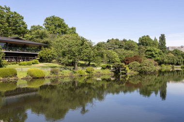 Tokyo, Japan - 17 May 2024: Shinjuku Gyoen National Garden in Tokyo. It is a public park known as a popular spot for enjoying cherry blossoms. clipart