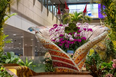 Singapur - 7 Mayıs 2024: Changi uluslararası havaalanı terminalinin içindeki çiçek bahçesi, Singapur.