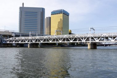 Tokyo, Japonya - 11 Mayıs 2024: Sumida Nehri 'nin karşısındaki Tokyo, Japonya' daki Sumida Nehri Yürüyüş Parkı 'nda demiryolu köprüsü. Sumida Nehri Yürüyüşü, nehrin kenarındaki çekimleri görmenin yapılandırılmış bir yoludur.