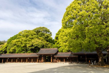 Tokyo, Japonya - 12 Mayıs 2024: Tokyo, Japonya 'da Meiji Jingu. İmparator Meiji ve karısı İmparatoriçe Shoken 'in tanrılaştırılmış ruhlarına ithaf edilmiştir.