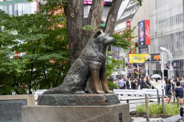 Tokyo, Japonya - 12 Mayıs 2024: Shibuya, Tokyo 'daki Hachiko Heykeli. Japonya 'nın en sadık köpeğini onurlandırmak için.