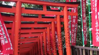 Tokyo, Japonya - 12 Mayıs 2024 Hie Shrine, Tokyo 'da etkileyici bir kırmızı torii kapısı tüneli. Tokyo 'daki Hie-jinja Tapınağı geleneksel Japon Shinto dininin tapınağıdır.
