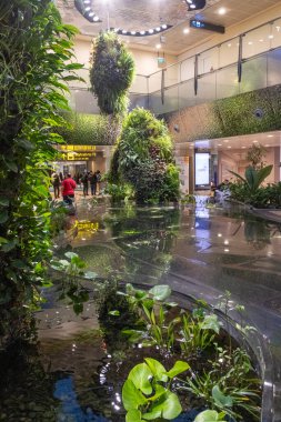 Singapur - 7 Mayıs 2024: Changi Havaalanı Terminali 2, Singapur Rüya Bahçesi. Doğanın ve teknolojinin büyülü bir senfoni ile birleştiği kapalı bir bahçe.
