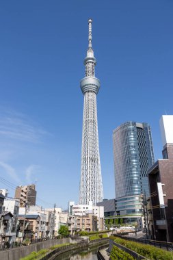 Tokyo, Japonya - 11 Mayıs 2024: Tokyo Skytree, Tokyo, Japonya 'da bir yayın ve gözlem kulesi. 2010 yılında Japonya 'daki en yüksek yapı oldu.