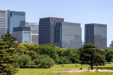 Tokyo, Japonya - 11 Mayıs 2024: Doğu Bahçeleri İmparatorluk Sarayı 'nın arka planında modern şehir manzaralı yeşil ağaçlar. Tokyo mu? Tokyo Japonya 'da halka açık bir park.