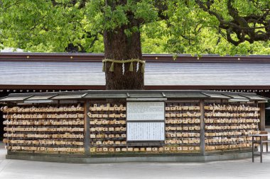 Tokyo, Japonya-12 Mayıs 2024: Meşgul şehir Tokyo 'daki bir Shinto Tapınağı olan Meiji-jingu Tapınağı' nda asılı tahta dua plakları.