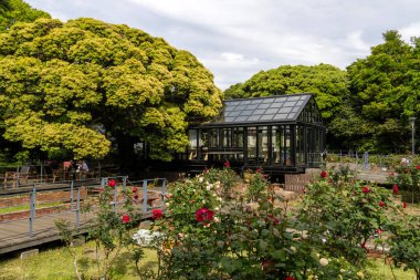 Enoshima, Japonya - 14 Mayıs 2024: Enoshima Samuel Cocking Garden Enoshima Adası, Japonya. Küçük adada küçük bir botanik bahçesi.