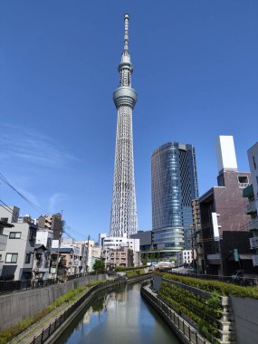 Tokyo, Japonya - 11 Mayıs 2024: Tokyo Skytree, Tokyo, Japonya 'da bir yayın ve gözlem kulesi. 2010 yılında Japonya 'daki en yüksek yapı oldu.