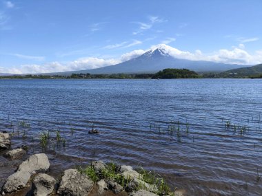 Fuji Dağı ve Kawaguchiko Gölü, Japonya 'nın Yamanashi mükemmeliyeti, Kawaguchiko' daki Oishi Park manzaralı..