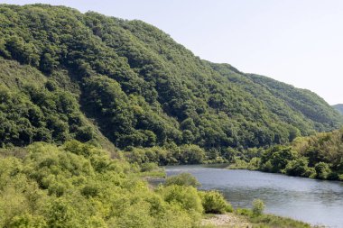Japonya, Okayama 'daki Asahi Nehri' nin güzel yeşil manzarası..