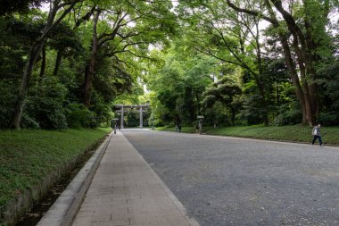 Tokyo, Japonya-12 Mayıs 2024: Meiji Tapınağı 'na giden yol (Meiji Jingu), Tokyo. Tokyo 'nun ortasında yer alan ormanın uçsuz bucaksız topraklarına sahip Shinto tapınakları.