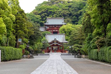 Kamakura, Japonya - 14 Mayıs 2024: Japonya, Kamakura 'daki Tsurugaoka Hachimangu Tapınağı manzarası. Bu güzel tapınak 800 yıldan fazladır var.