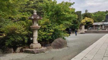 Kamakura, Japonya- 14 Mayıs 2024: Kamakura, Japonya 'daki Kamakura tapınağındaki Kamakura Daibutsu heykeli