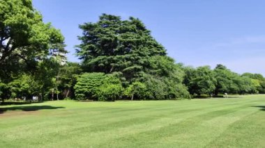 Tokyo, Japonya - 17 Mayıs 2024: Tokyo 'daki Shinjuku Gyoen Ulusal Bahçesi. Kiraz çiçeklerinin tadını çıkarmak için popüler bir park olarak bilinir..