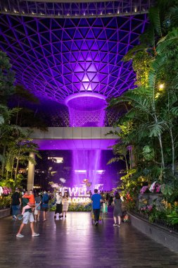 Singapur - 5 Haziran 2024: Jewel Changi Havalimanı 'ndaki Yağmur Girdabı, Singapur. Dünyanın en uzun kapalı şelalesidir..