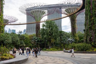 Singapur-29 Haziran 2024: Güneşli bir günde Marina Bay Sands Oteli yakınlarındaki Singapur Körfezi yakınlarındaki Gardens 'taki Supertree Grove ve ve Skyway