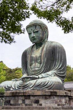 Kamakura, Japonya- 14 Mayıs 2024: Kamakura, Japonya 'daki Kamakura tapınağındaki Kamakura Daibutsu heykeli