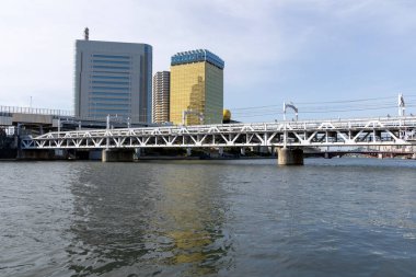 Tokyo, Japonya - 11 Mayıs 2024: Sumida Nehri 'nin karşısındaki Tokyo, Japonya' daki Sumida Nehri Yürüyüş Parkı 'nda demiryolu köprüsü. Sumida Nehri Yürüyüşü, nehrin kenarındaki çekimleri görmenin yapılandırılmış bir yoludur.